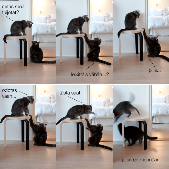 hopsotkisut