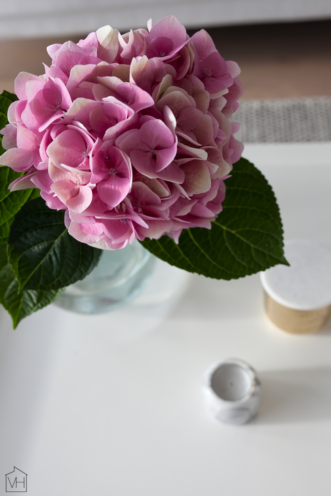hortensia_lahi