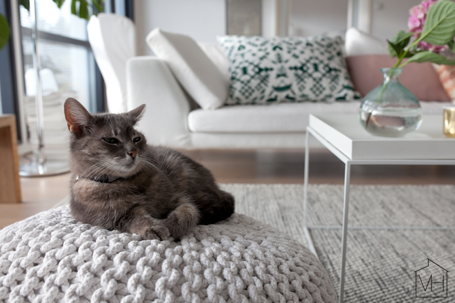 viivi